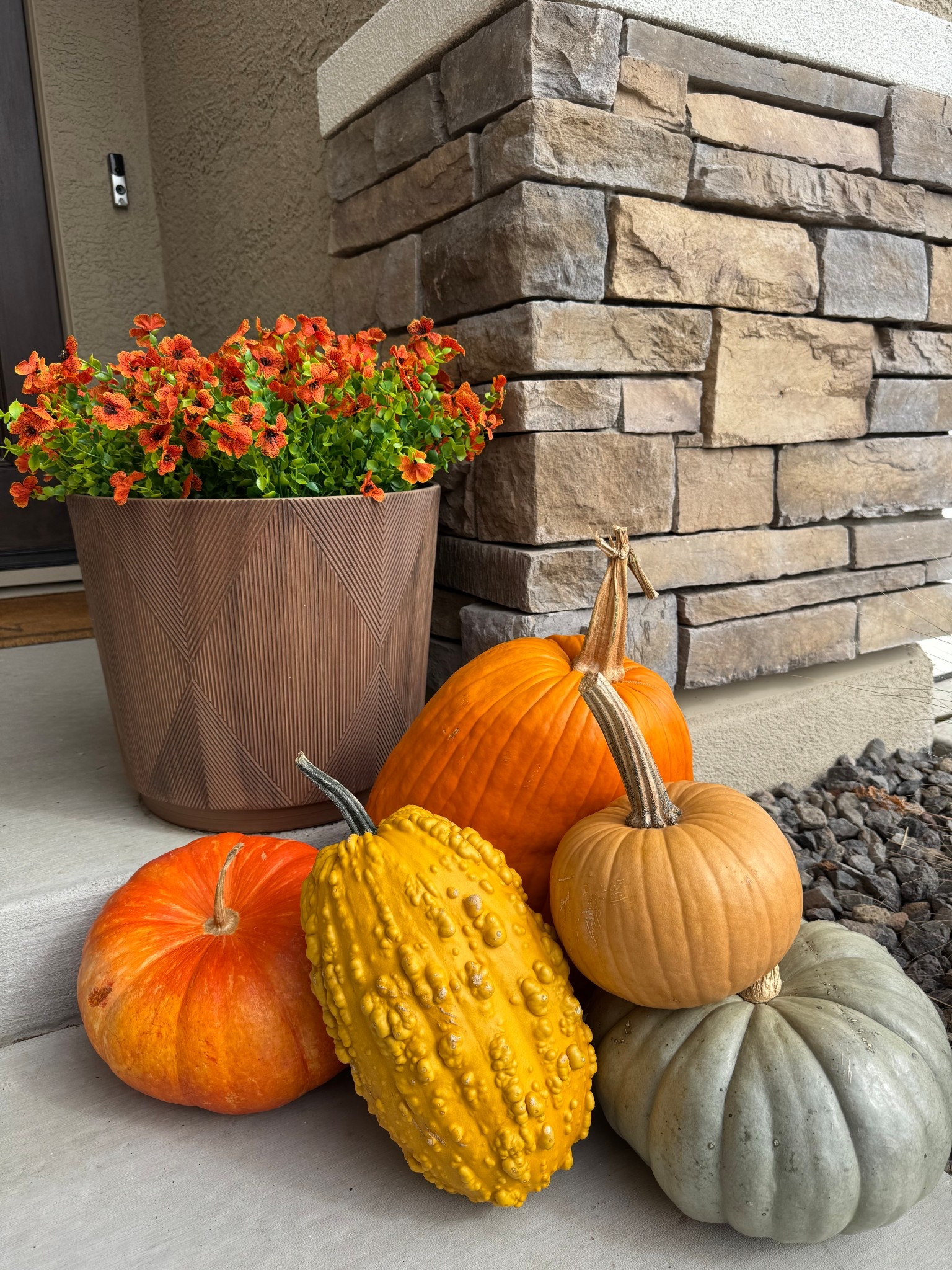 If you're like me, mums are hard to keep alive for more than a week or two because of the way our house faces. I've found some realistic artificial flowers! This orange color feels perfect for fall!! 


Fall porch. Artificial flowers. Porch decor. 

#LTKSeasonal #LTKHalloween #LTKHome