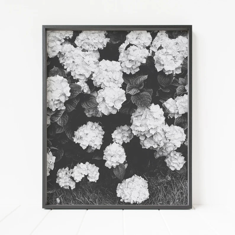 hydrangeas print, flower wall art, black and white floral decor, hydrangea wall decor | Etsy (US)