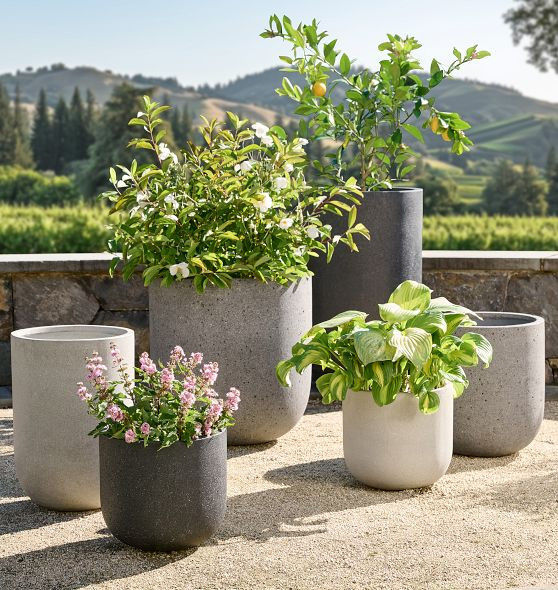 Dell All-Weather Planter | Rejuvenation