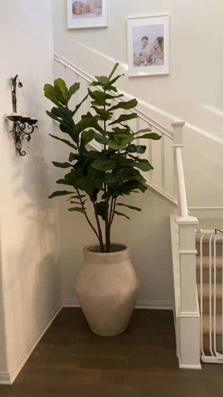 Entryway foyer large planter and fiddle leaf tree 🏠 Our foyer has very high ceilings and needed something large to fill in the space. This planter and faux fiddle leaf tree did the trick! Pot is in the color sand 

Home decor, entryway decor, large indoor planter, faux fiddle leaf tree, Crate & Barrel, Amazon home, foyer decor, large planter pot

#LTKfindsunder100 #LTKVideo #LTKhome