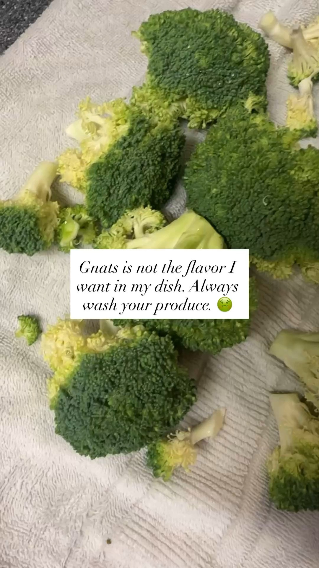 Gnat is not the flavor I want in my dish. Always wash your produce.￼