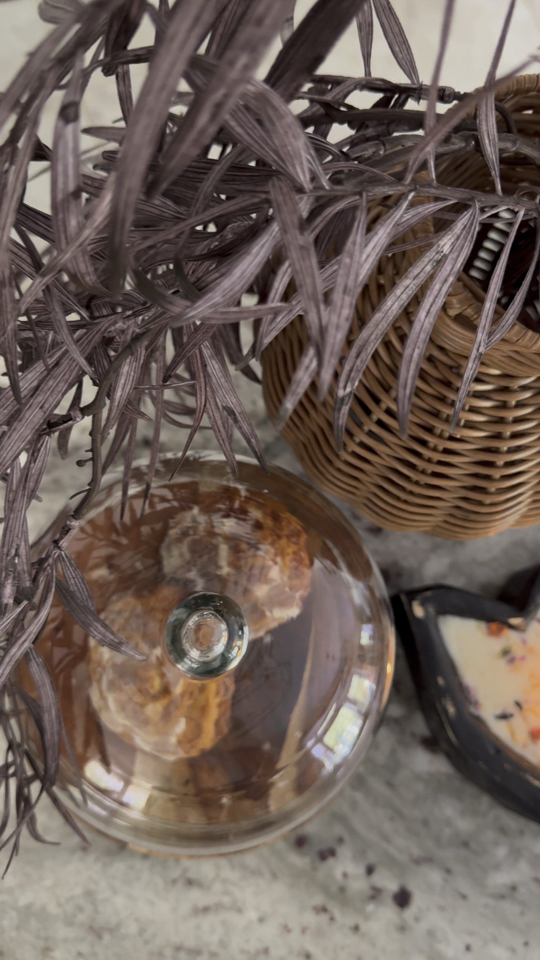 Abandoned cakes Halloween bat candle 

#LTKSeasonal #LTKFallSale #LTKVideo