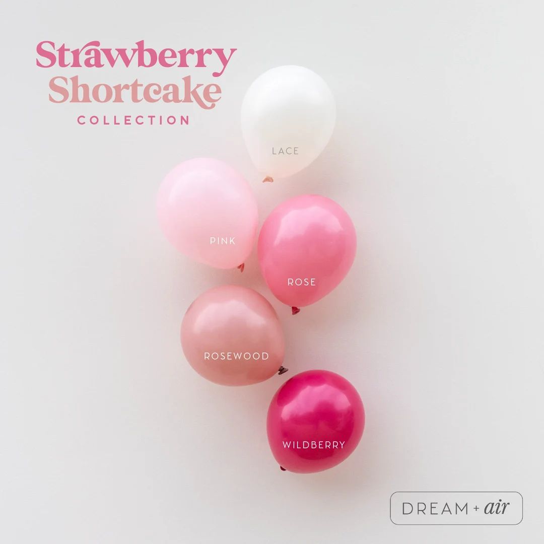 Boho Pink Berry DIY Balloon Garland Arch Kit Blush, White, Neutral, Strawberry, Baby Shower Party... | Etsy (US)