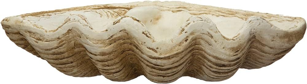 Creative Co-Op Coastal Decorative Magnesia Clamshell, Natural Décor, Ivory | Amazon (US)