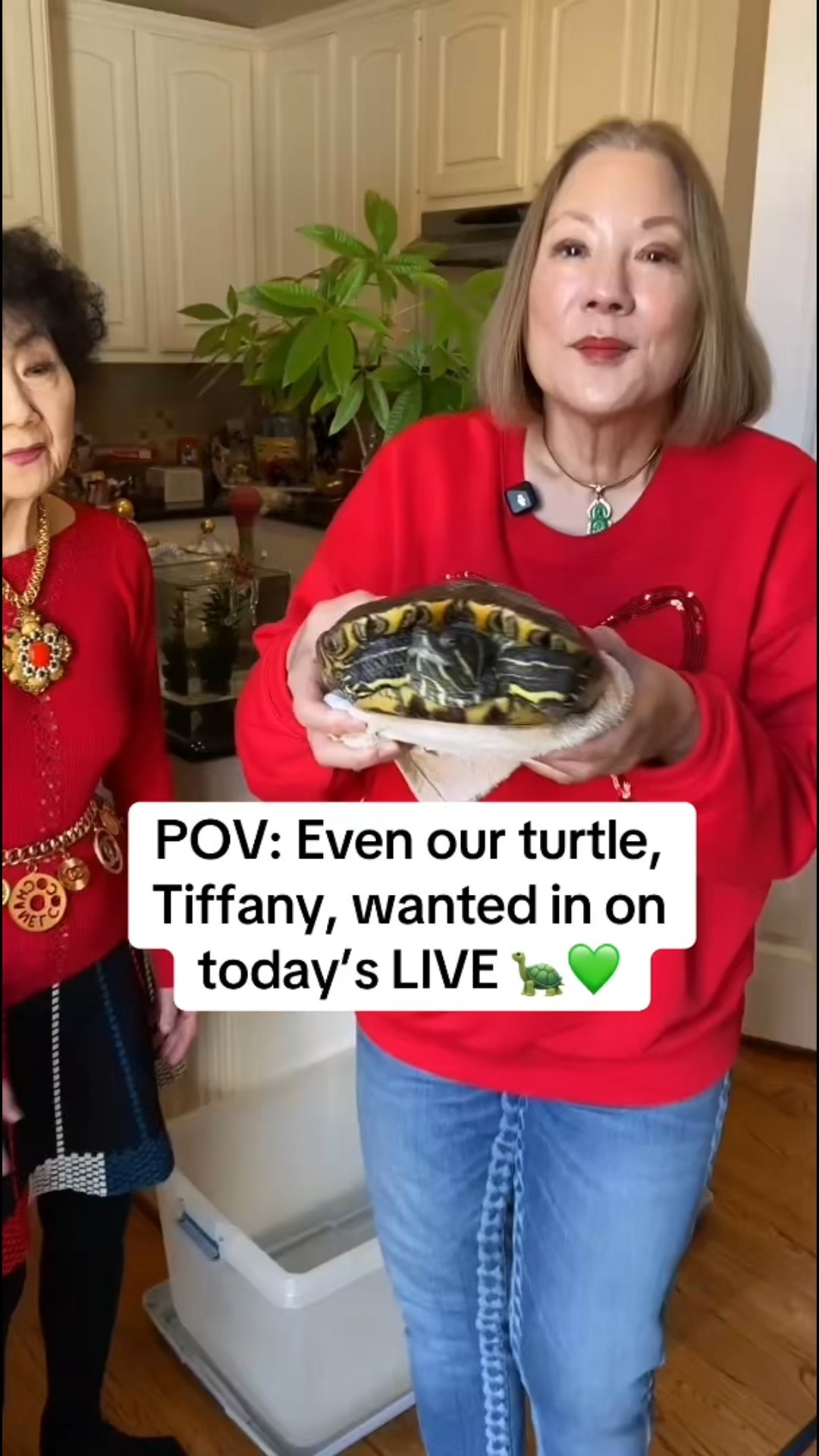 Even Tiffany the turtle couldn’t resist today’s LIVE 🐢💚
More Joanne, more outfits, and another Daily Deal dropping tomorrow, Tuesday 12/13 from 11am–12pm CT. Join us live ✨ Instagram: pattipao1

#LTKBeauty #LTKSaleAlert #LTKHoliday