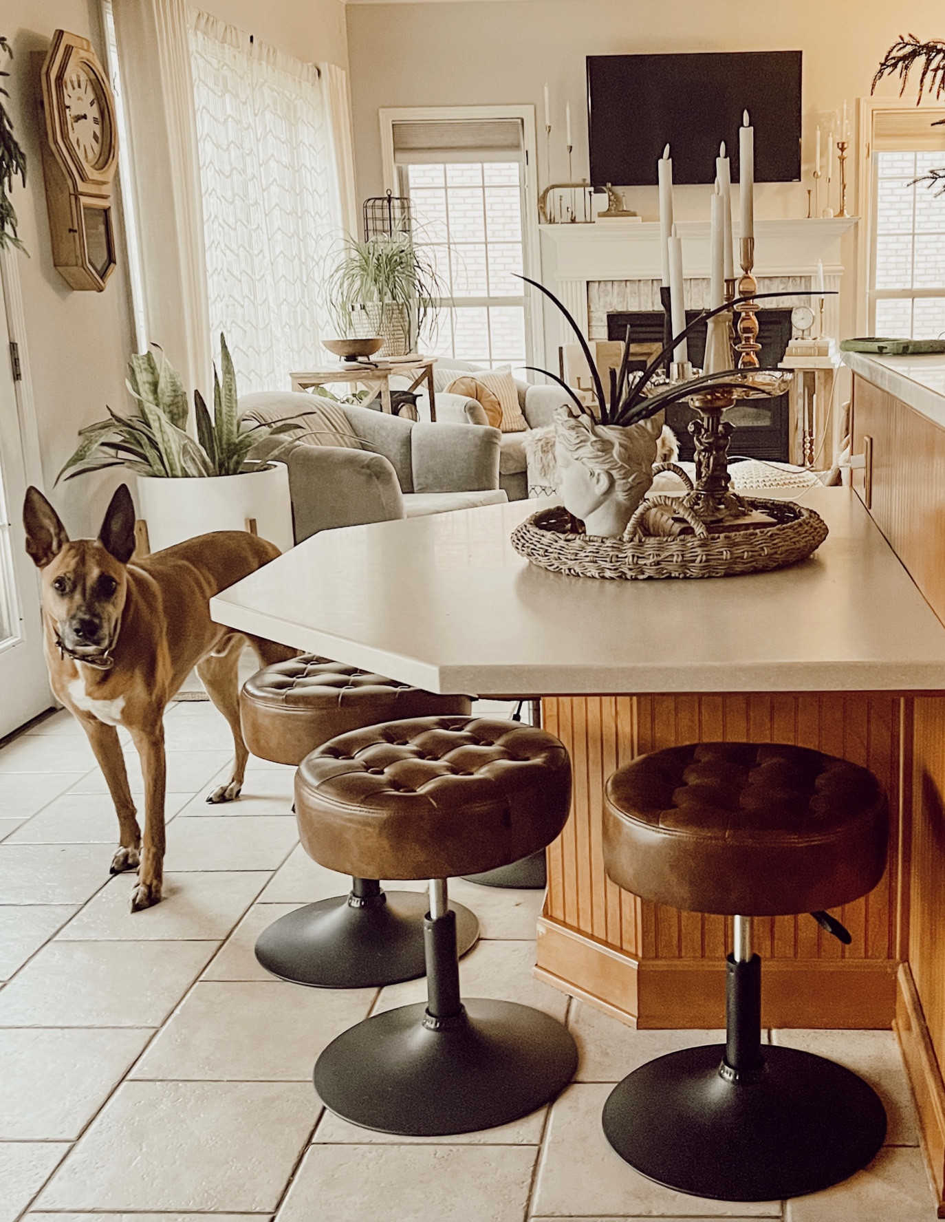 Nine stools later, finally decided on these MCM inspired swivel stools for our built-in breakfast table 🤎

#amazon #amazonhome 

#LTKhome