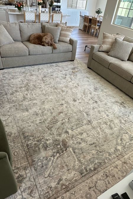 Living room furniture! Area rug & neutral couches 