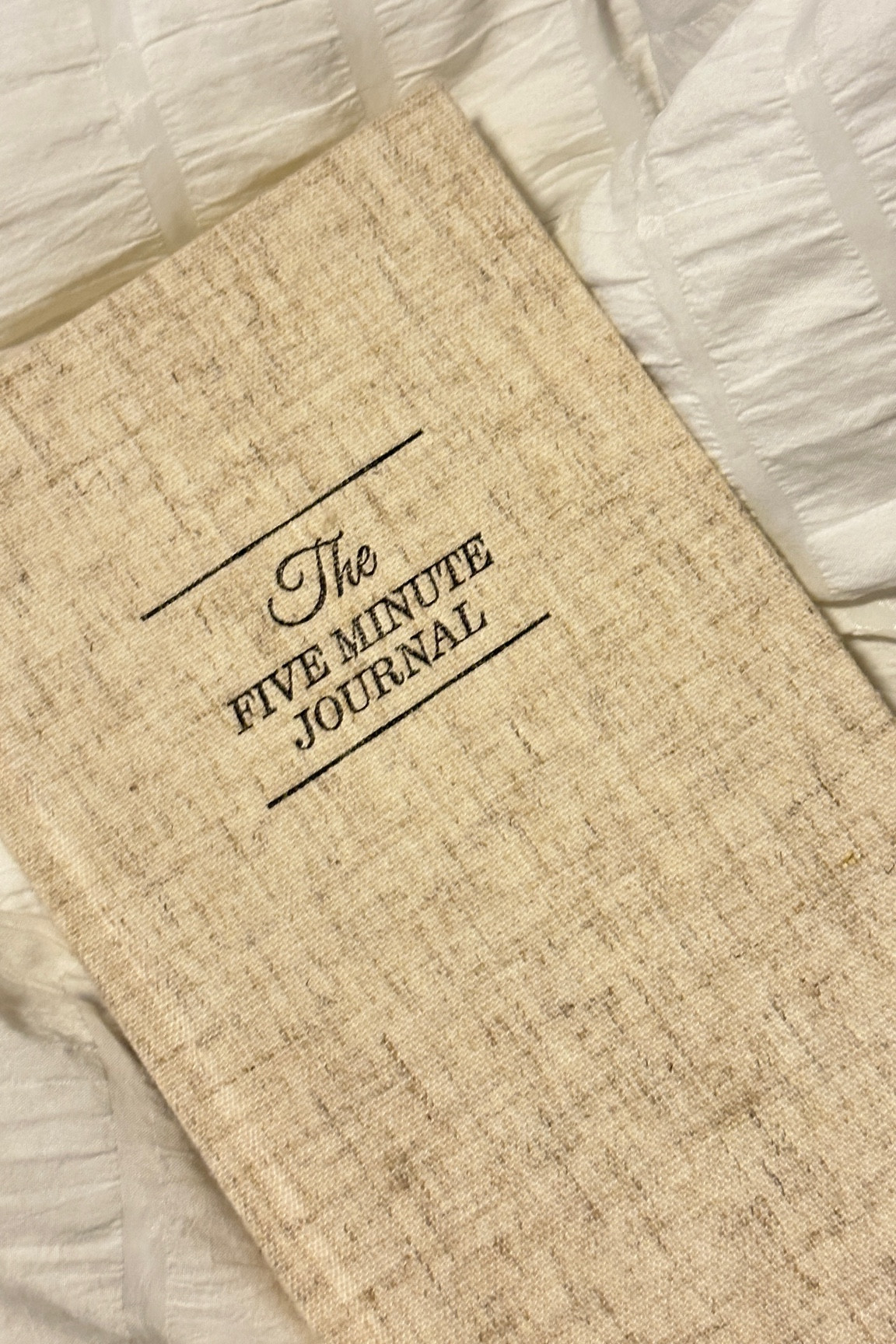 favorite way to start my mornings 🫶🏻

#LTKSeasonal #LTKGiftGuide #LTKfindsunder100