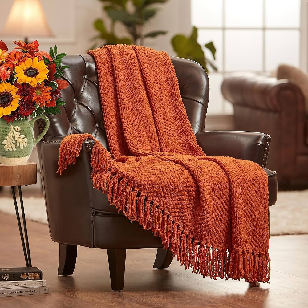 Chanasya Textured Knitted Super Soft Throw Blanket with Tassels - Warm Fluffy Cozy Plush Knit - for  | Amazon (US)