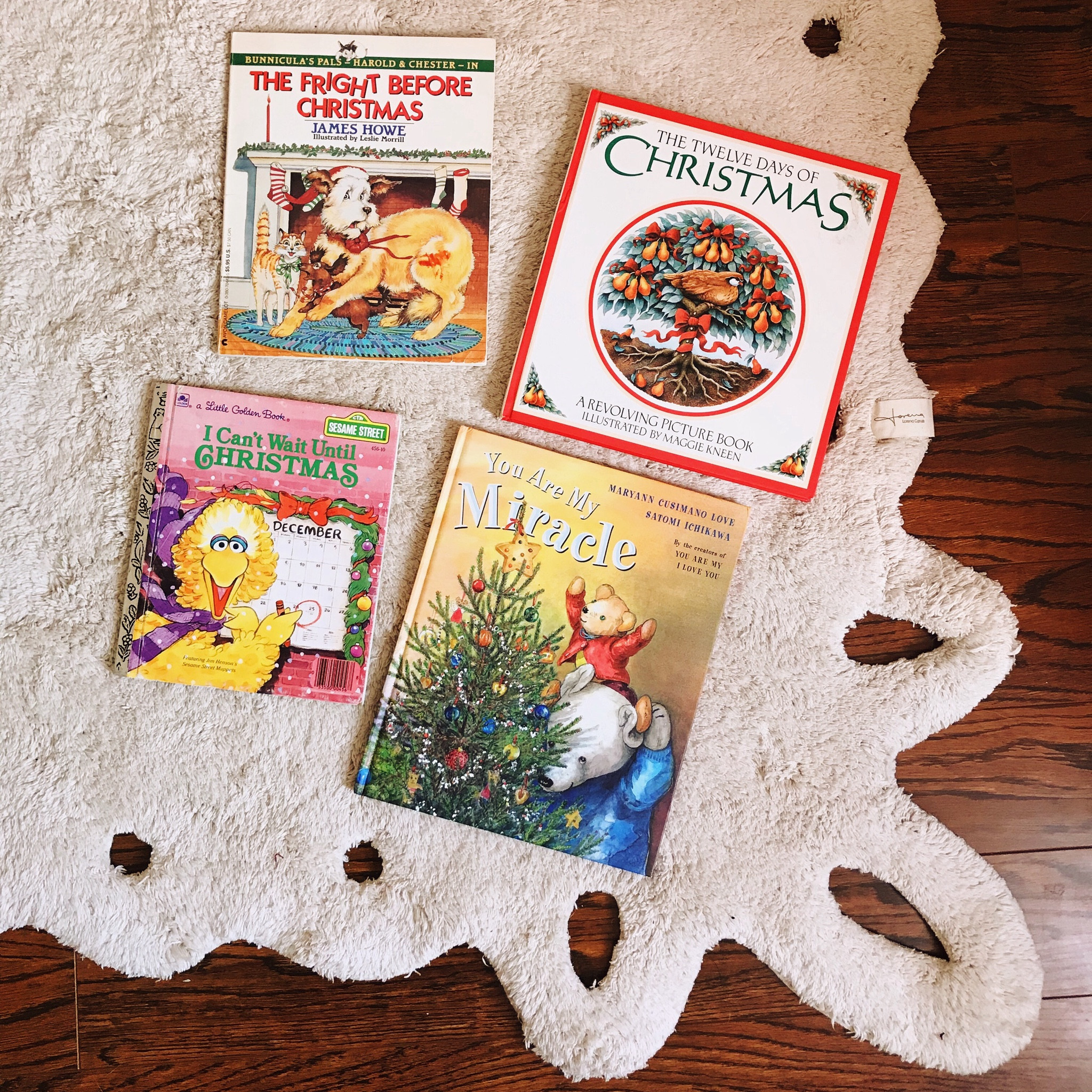 Some favorite Christmas books. ❤️

#LTKSeasonal #LTKHoliday