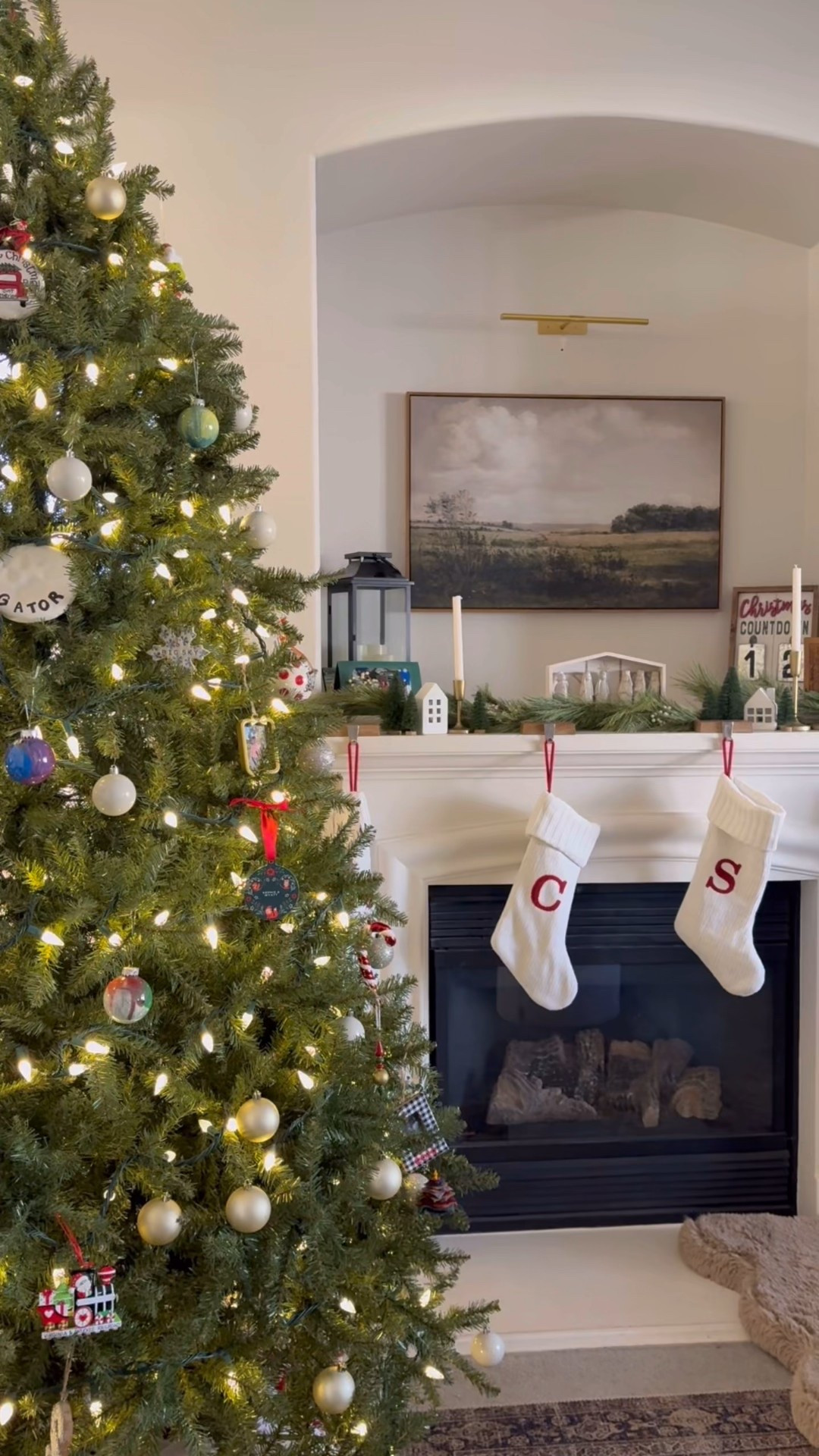 We have been ipdating our home slowly but surely. These are the recent changes that I would do all over again! 

Easy to install rechargeable kitchen lights with motion sensors and 5 dimmer options. $24 

Vintage landscaped framed canvas picture. $65 

Easy to install rechargeable gallery light. $24

Faux leather kleenex box cover. 
$8

2.5ft x 8 ft machine washable and non skid kitchen runners. $44

Loloi area room rug in antique moss. $153 

Modern sink faucet. $45

#LTKHoliday #LTKHome #LTKFindsUnder50