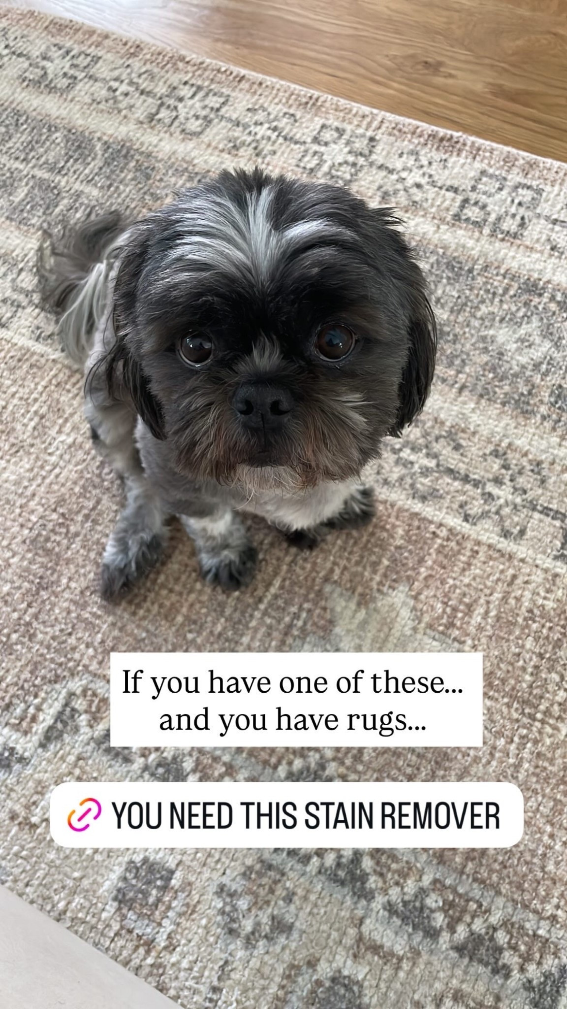 You know what I mean… this is a 100% necessity with any pets.

#LTKHome #LTKmomlife #LTKdayinmylife