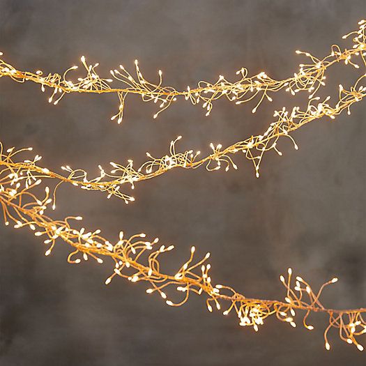 Stargazer Climbing Vine Garland, 15' Plug-In | Terrain