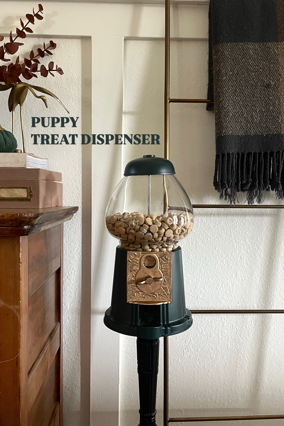 Turned a gumball machine into a puppy treat dispenser 🐶☺️

#LTKHome #LTKHoliday #LTKFamily