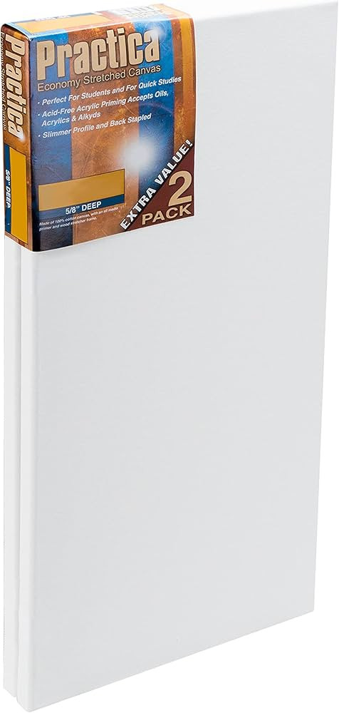 Practica Economy Stretched Cotton Canvas - Acid-Free Acrylic Primed Canvas for Acrylics, Pastels,... | Amazon (US)
