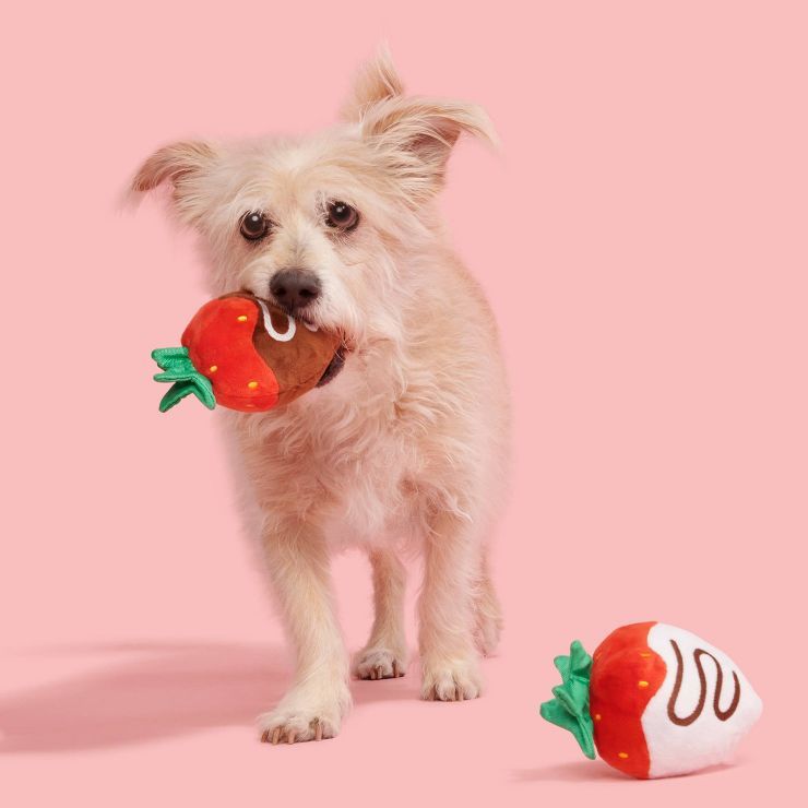 BARK Valentine's Chocolick Slobberies Dog Toy Set - 2ct | Target