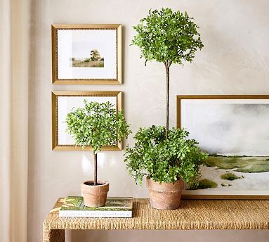 Faux Boxwood Topiary | Pottery Barn (US)