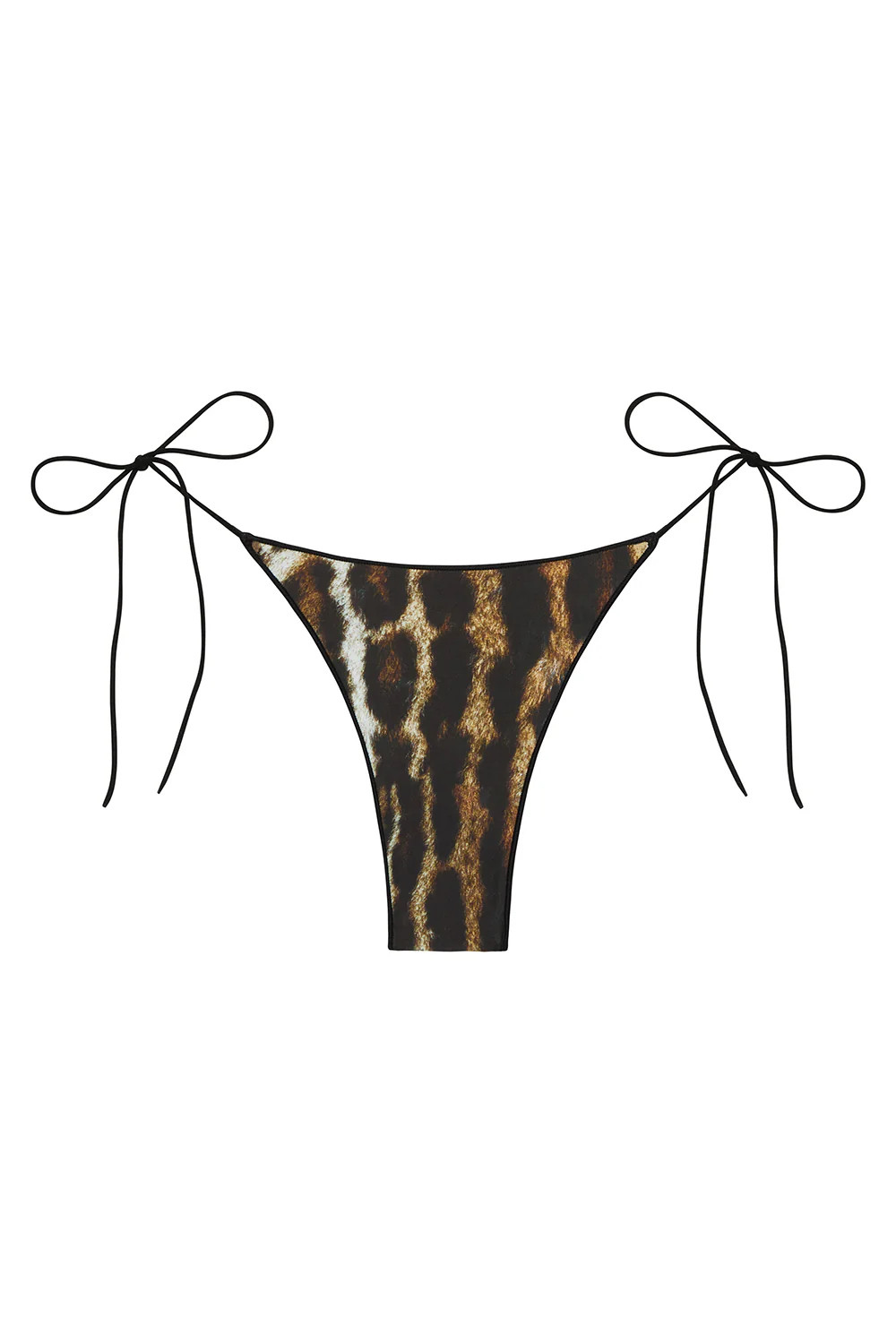 the C bottom in ocelot | Tropic of C