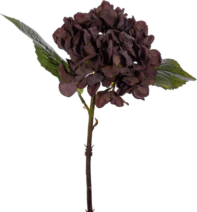 Vickerman 13" Brown Artificial Dried Hydrangea Pick, 3 per Bag. | Amazon (US)