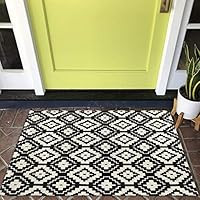 Tiffasea Small Cotton Area Rug Outdoor, 2’x3’ Black and White Geometric Rug Woven Doormat Boh... | Amazon (US)