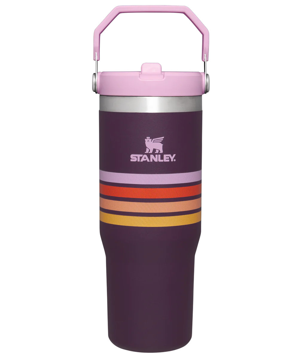 The Varsity Iceflow™ Flip Straw Tumbler| 30 OZ | Stanley 1913 (US)