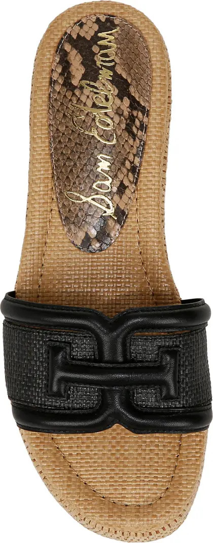 Pauleena Platform Wedge Slide Sandal (Women) | Nordstrom