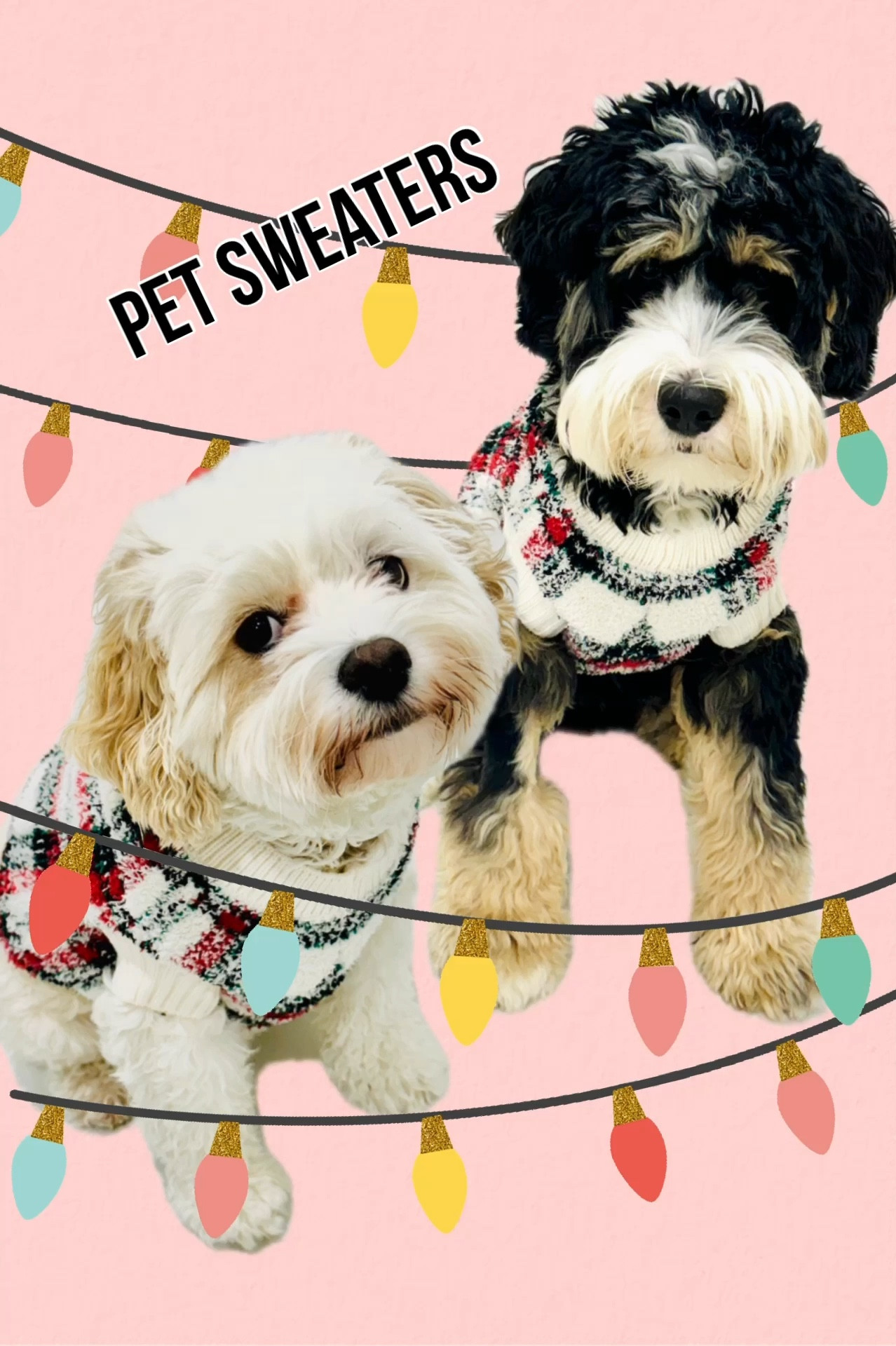 Festive and adorable sweaters for your pets. Waffles likes wearing one and Wally acts like he can’t walk at first. So cute though and great for pics! 

#LTKHoliday #LTKSeasonal #LTKGiftGuide