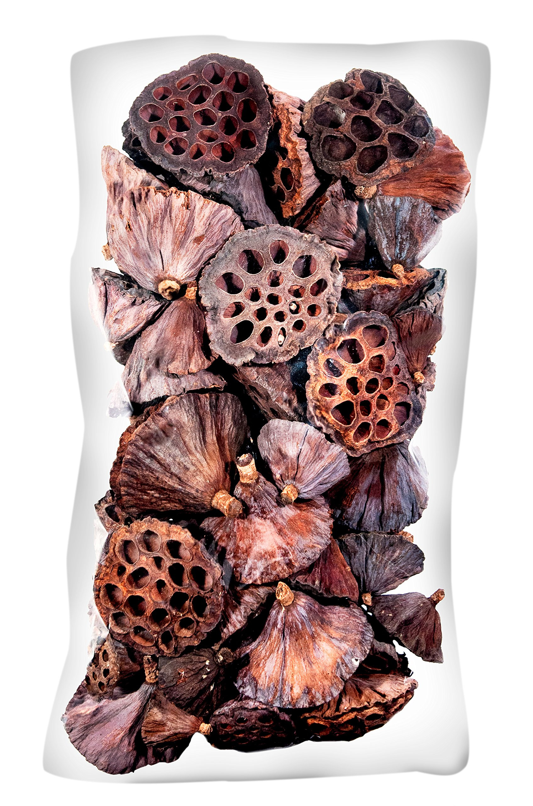 SuperMoss (20801 25-Piece Lotus Pods, Brown, Mixed | Amazon (US)