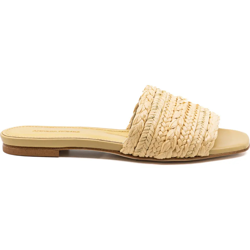 Andrea Gomez Denisse Raffia Slide Flat in Natural Raffia at Nordstrom, Size 39.5 | Nordstrom