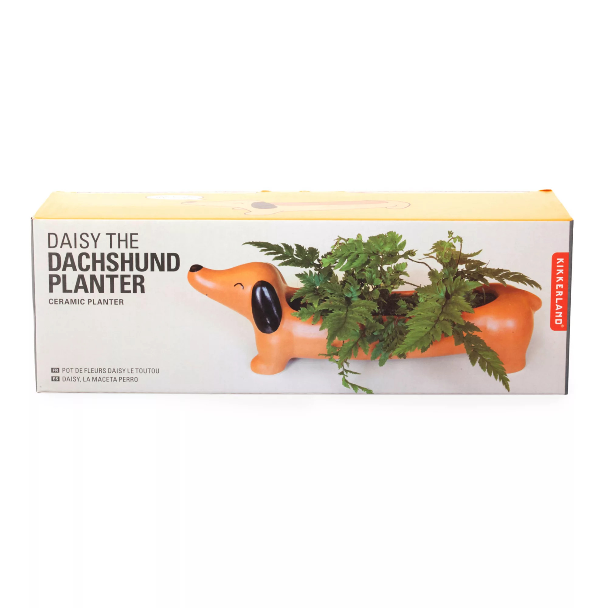 Kikkerland Dachsund Planter | Kohl's