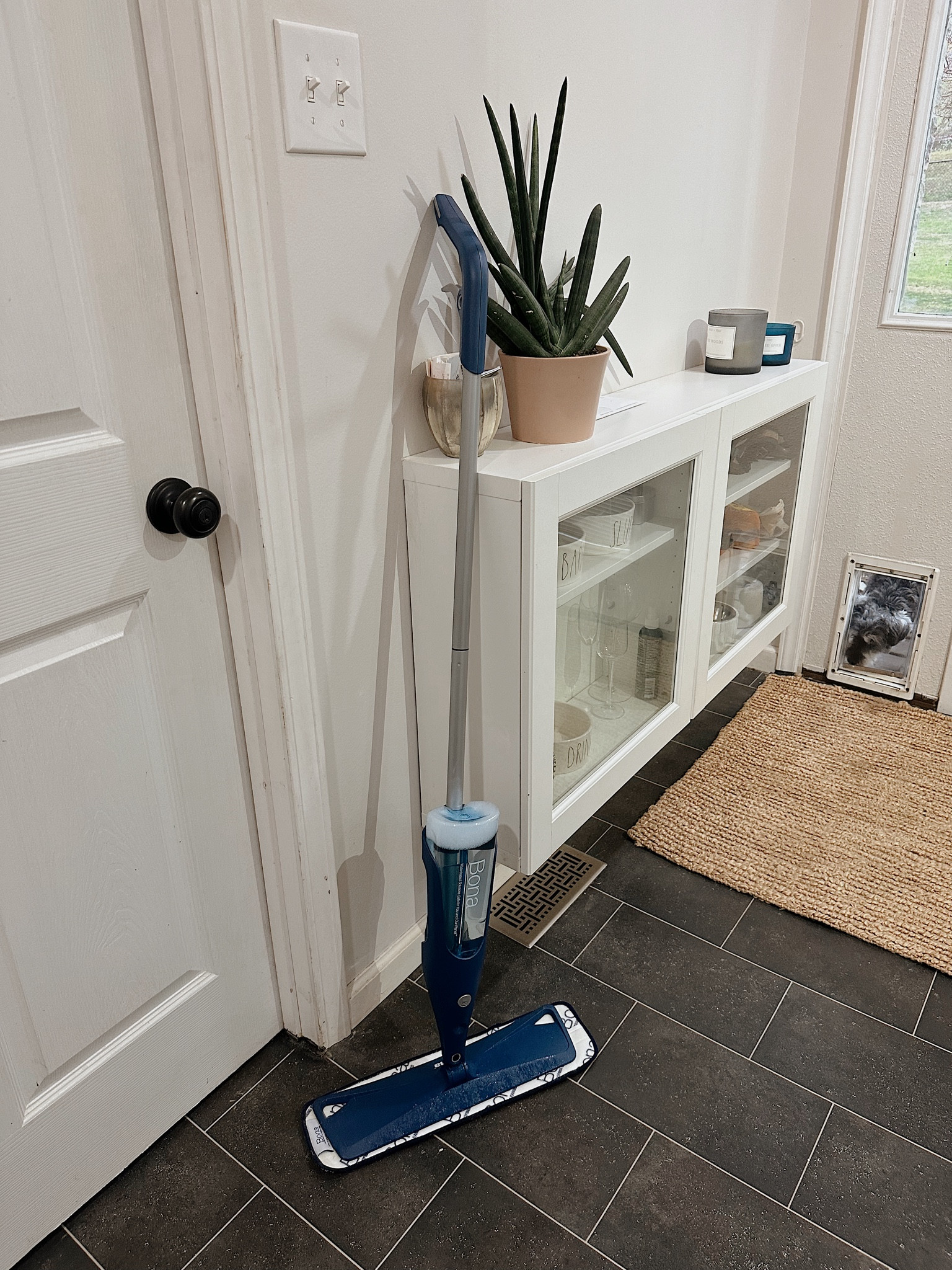 Best $32 I have spent in a while! So easy to put together, and even easier to use. Works super well! 

#LTKHome #LTKKids #LTKSeasonal