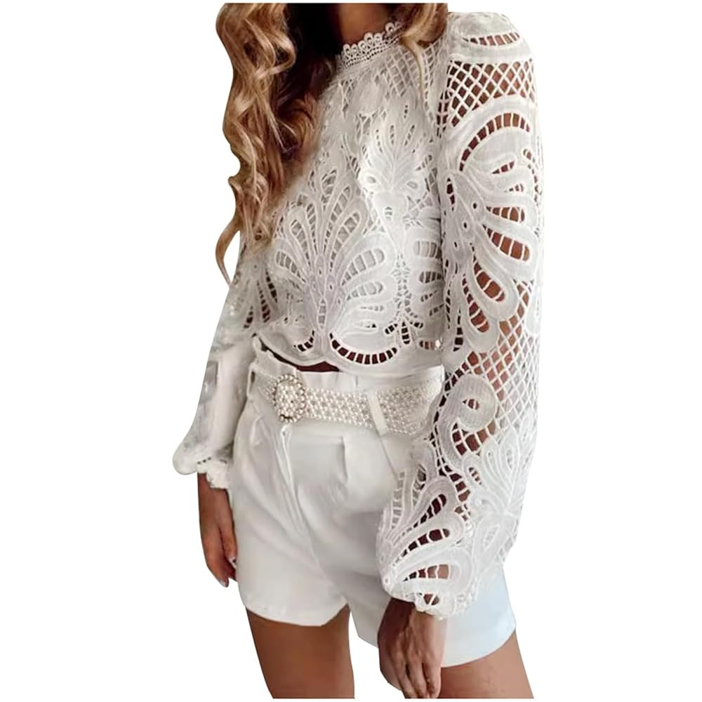 Women's Spring and Summer Lace Hollow Sexy Zipper Long Sleeved Casual T Shirt Top Snow Long Sleev... | Amazon (US)
