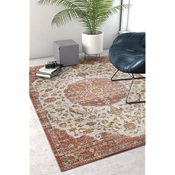 Well Woven Firenze Ana Modern Vintage Medallion Distressed Brick Area Rug 3'3" x 5, 3'3" x 5', | Amazon (US)