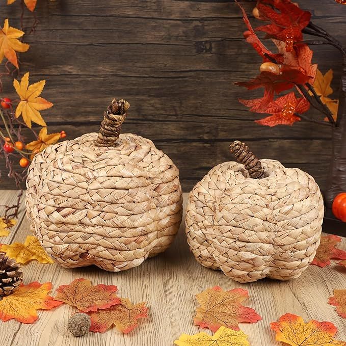 winemana 2 Pack Pumpkin Fall Decor Thanksgiving Decorative Pumpkins for Home Woven Cattail Figuri... | Amazon (US)