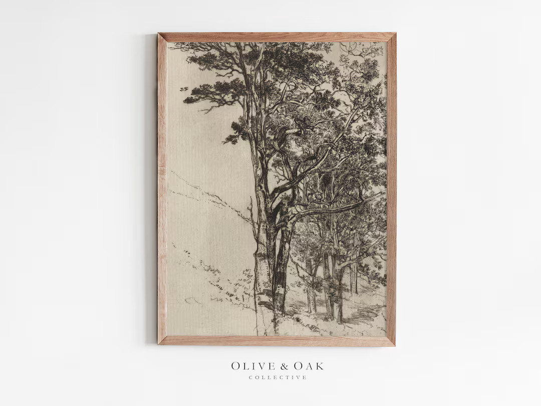 Neutral Tree Sketch Digital Print / Vintage Forest Tree Drawing PRINTABLE / #210 | Etsy (US)