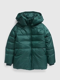 Big Puff Jacket | Gap (US)