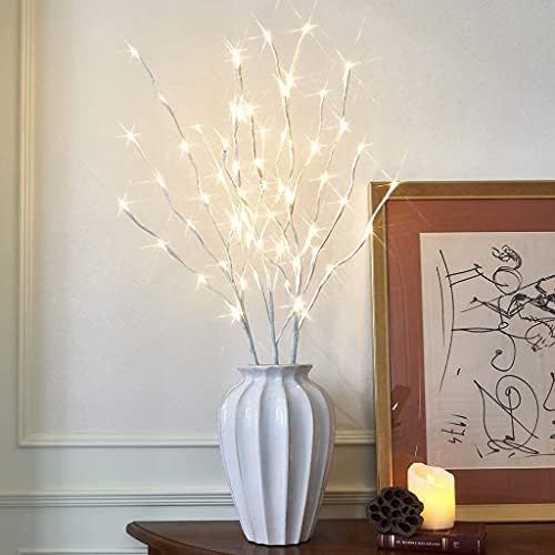 EAMBRITE Lighted White Branches 30IN 60LT Natural Willow Branch Plug in for Home Party Wedding Ho... | Amazon (US)