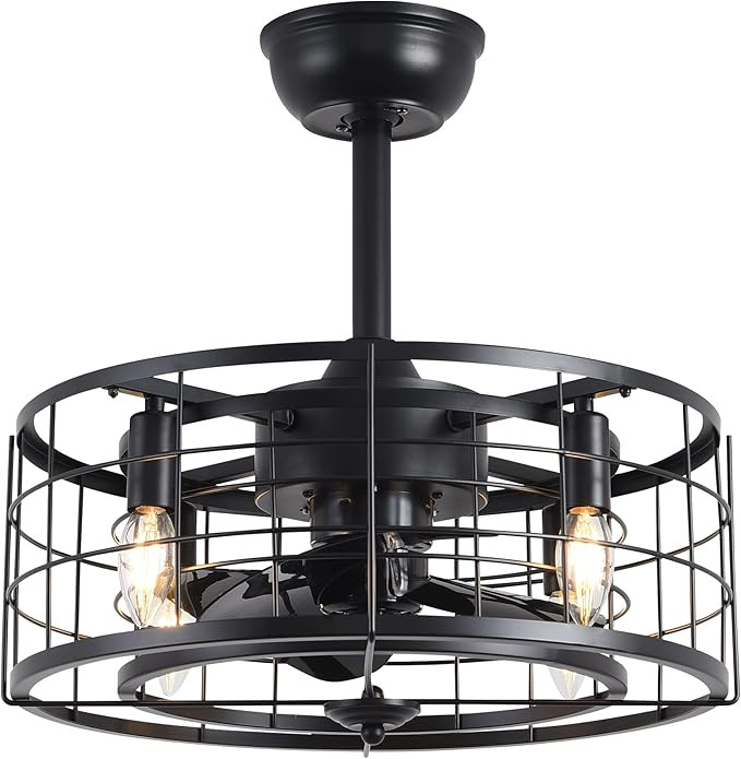 Caged Ceiling Fans with Lights Remote Control, Enclosed Ceiling Fan Lighting Kits with Reversible... | Amazon (US)