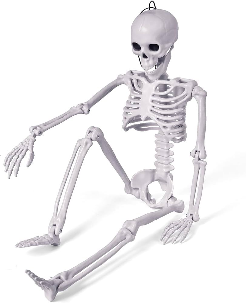 FUN LITTLE TOYS 24 Inches Halloween Posable Skeleton, Full Body Skeleton Movable Joints, Plastic ... | Amazon (US)