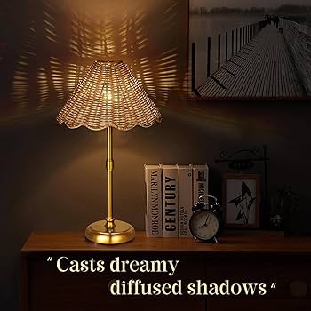Cordless Boho Rattan Table lamp, 5200-mAh Rechargeable Battery, 3-level Brightness Dimmable, Buil... | Amazon (US)