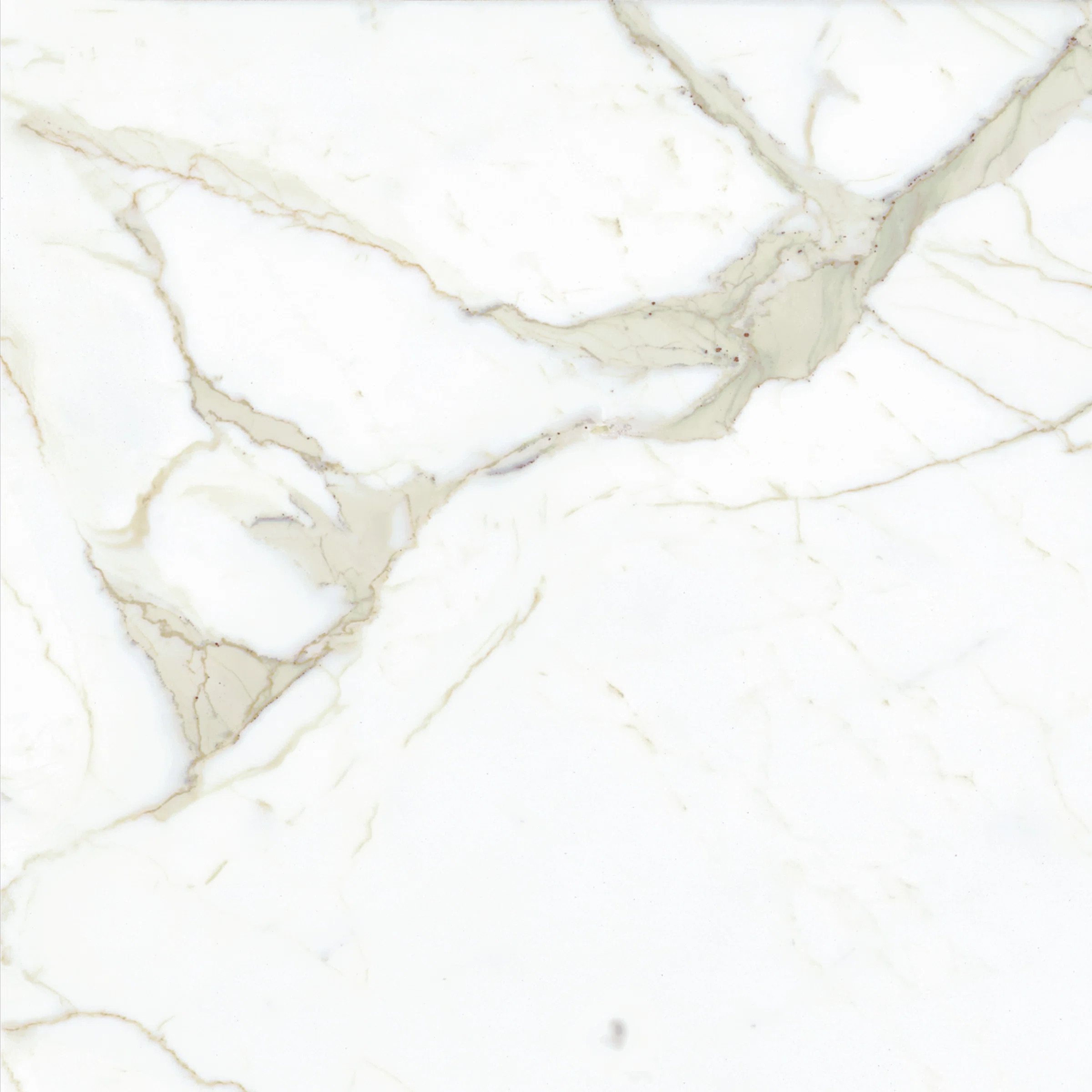 Magnifica 30" x 30" Porcelain Field Tile (Set of 3) | Perigold