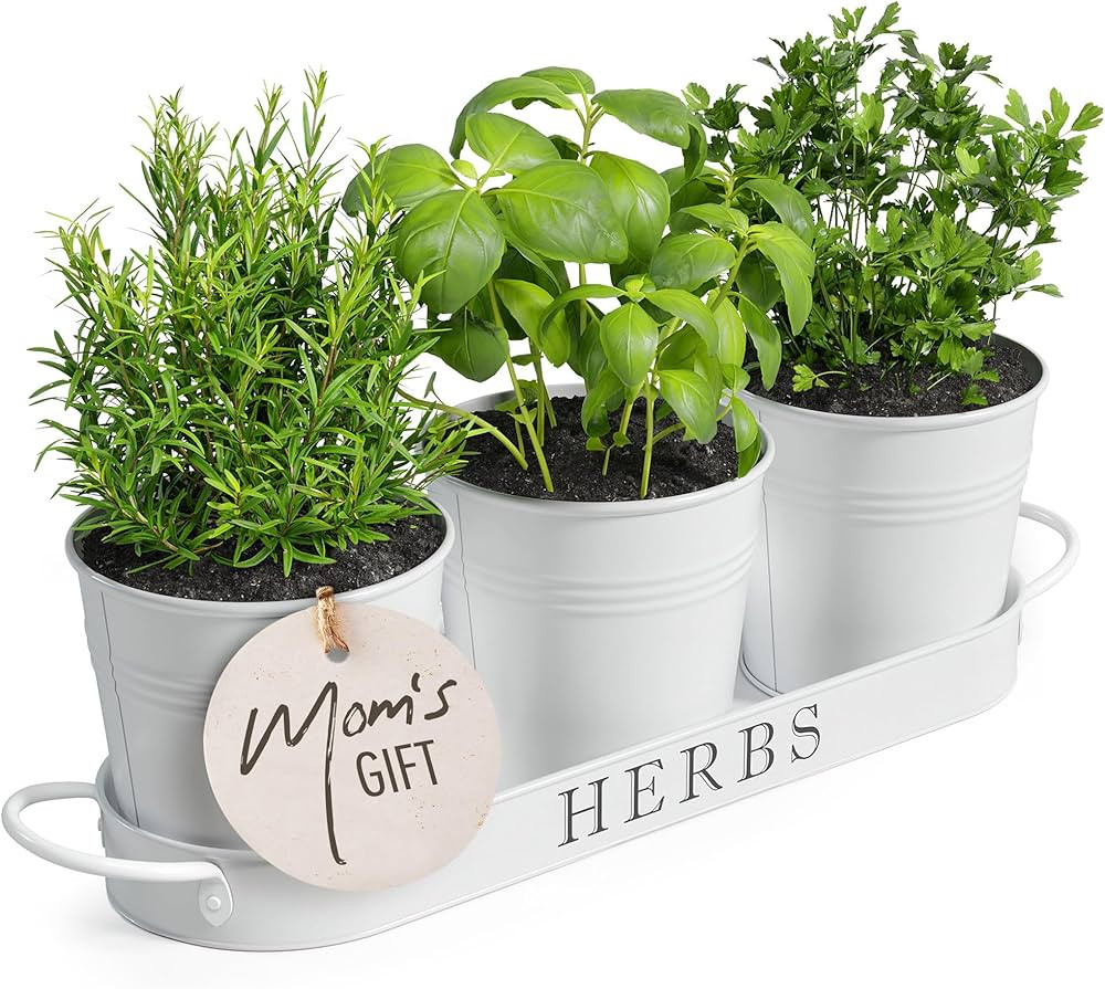 Barnyard Designs Indoor Herb Garden Planter Set with Tray, Metal Windowsill Plant Pots with Drain... | Amazon (US)