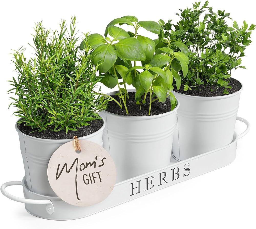 Barnyard Designs Indoor Herb Garden Planter Set with Tray, Metal Windowsill Plant Pots with Drain... | Amazon (US)