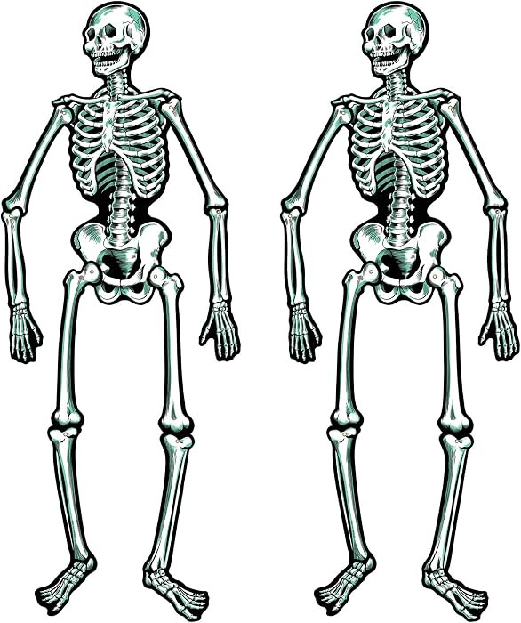Beistle Jointed Skeletons, 22", White/Black | Amazon (US)