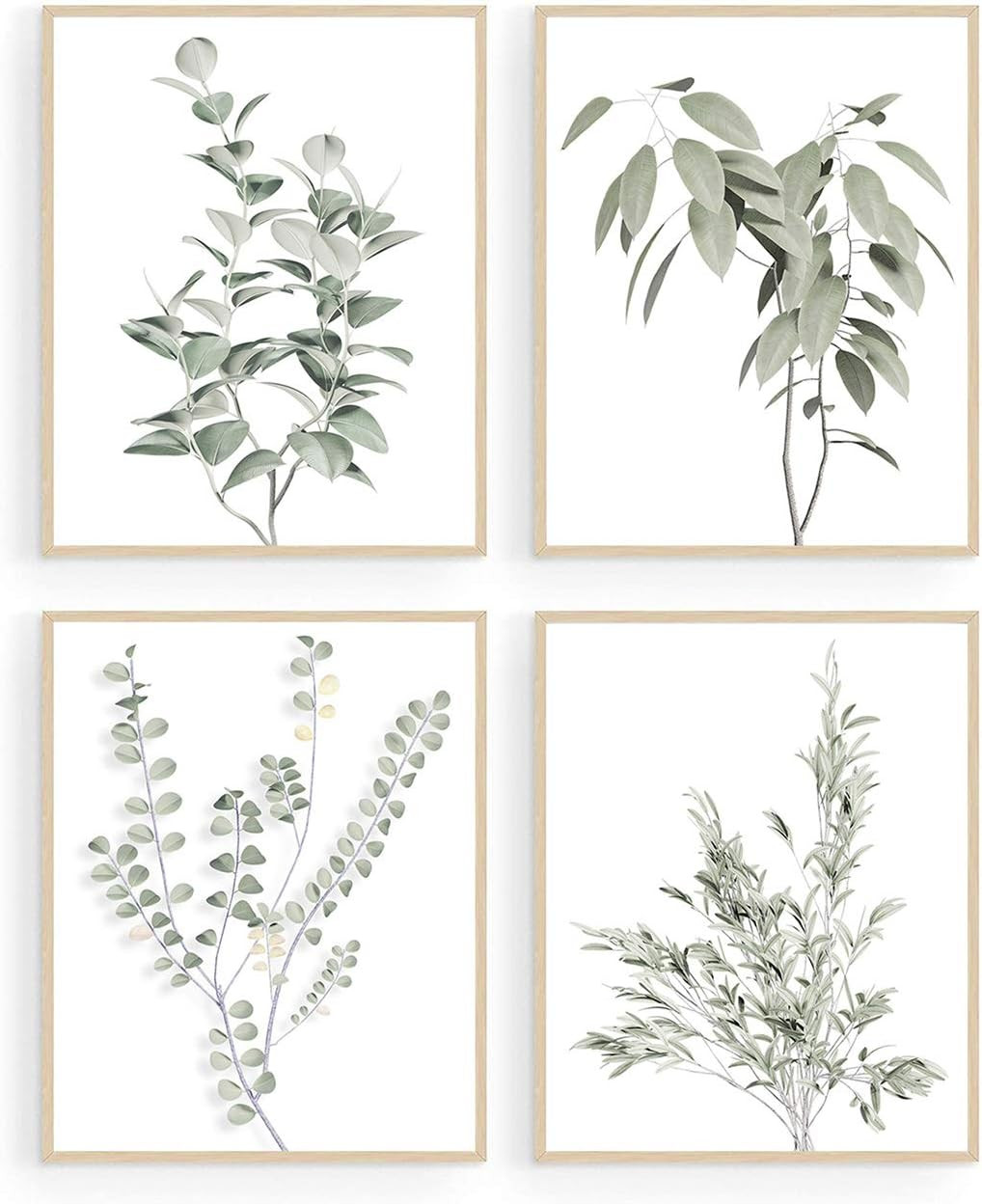 Botanical Plant Wall Art Prints, Minimalist Wall Art, Boho Wall Decor, Green Leaves Eucalyptus Pi... | Amazon (US)