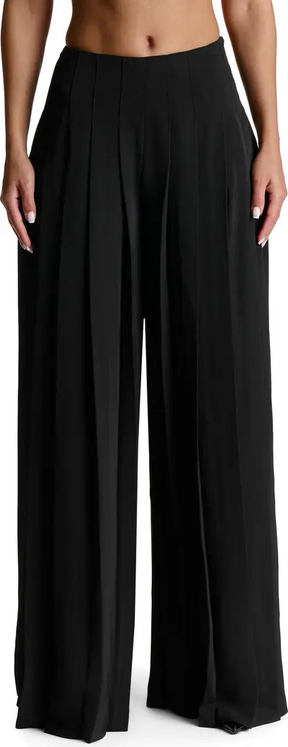 Pleated Wide Leg Pants | Nordstrom