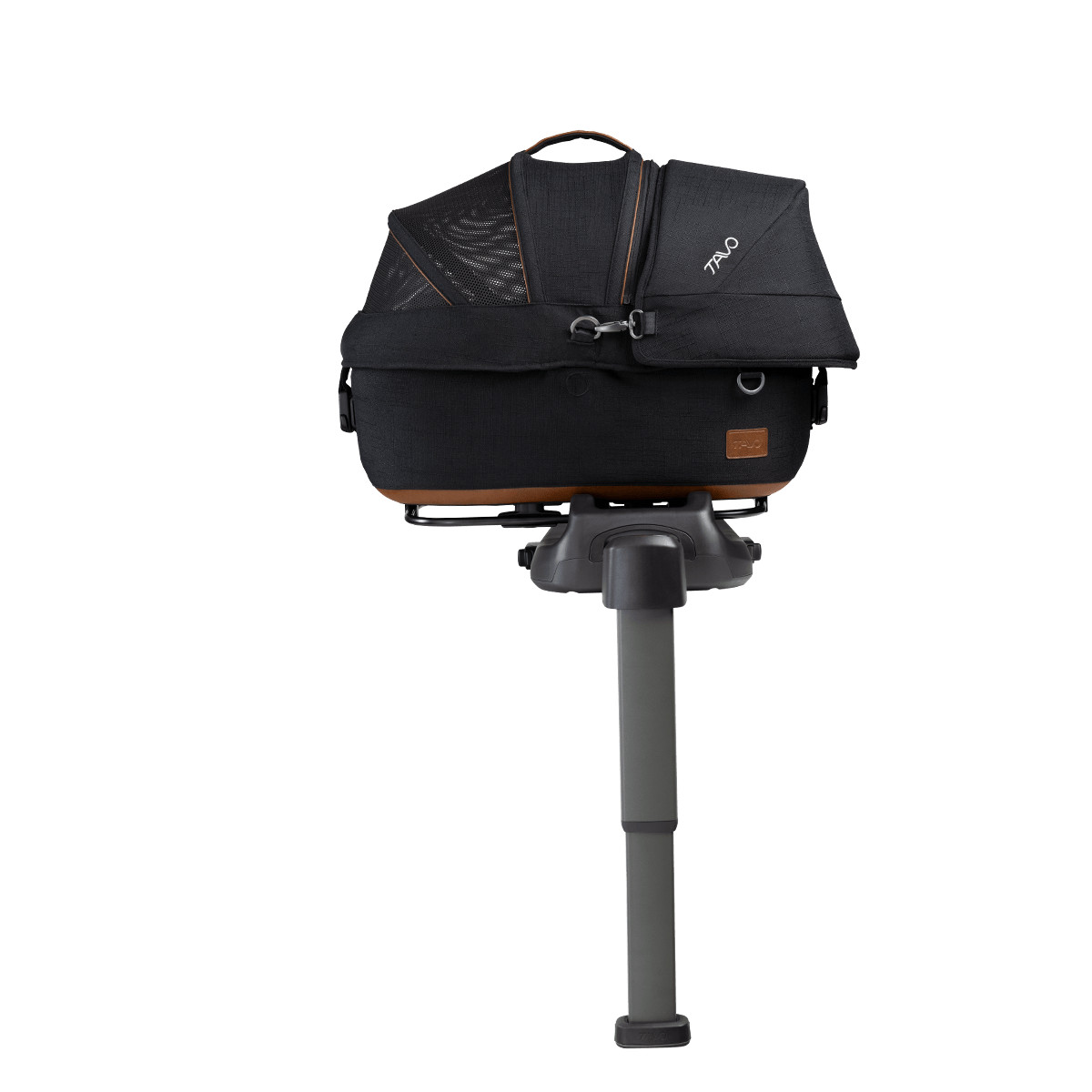 Maeve™ | Tavo Pets