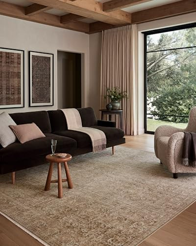 Loloi Amber Lewis Molly Collection MOL-08 Antique/Multi 7'-10" x 10' Low Pile Area Rug | Amazon (US)