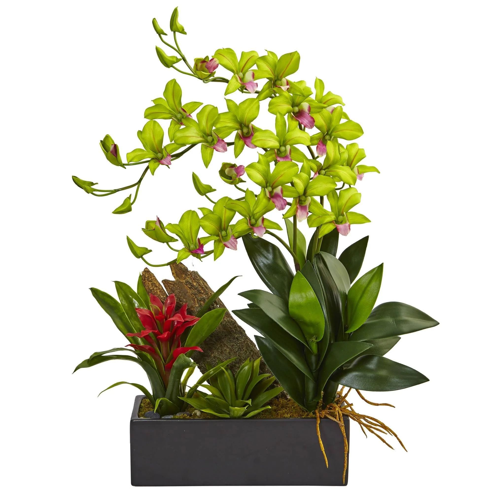 Dendrobium and Bromeliad Arrangement | Nearly Natural | Nearly Natural