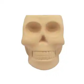 6.6" DIY Skull Terracotta Accent by Make Market® | Michaels Stores